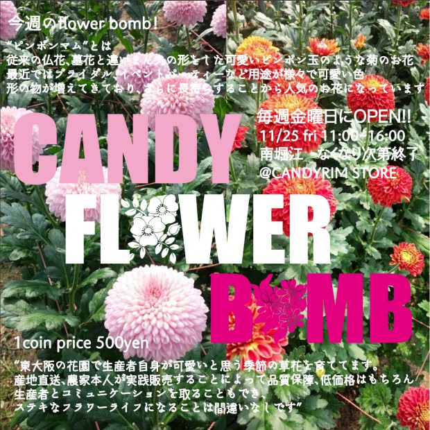 candy-f-b-1125